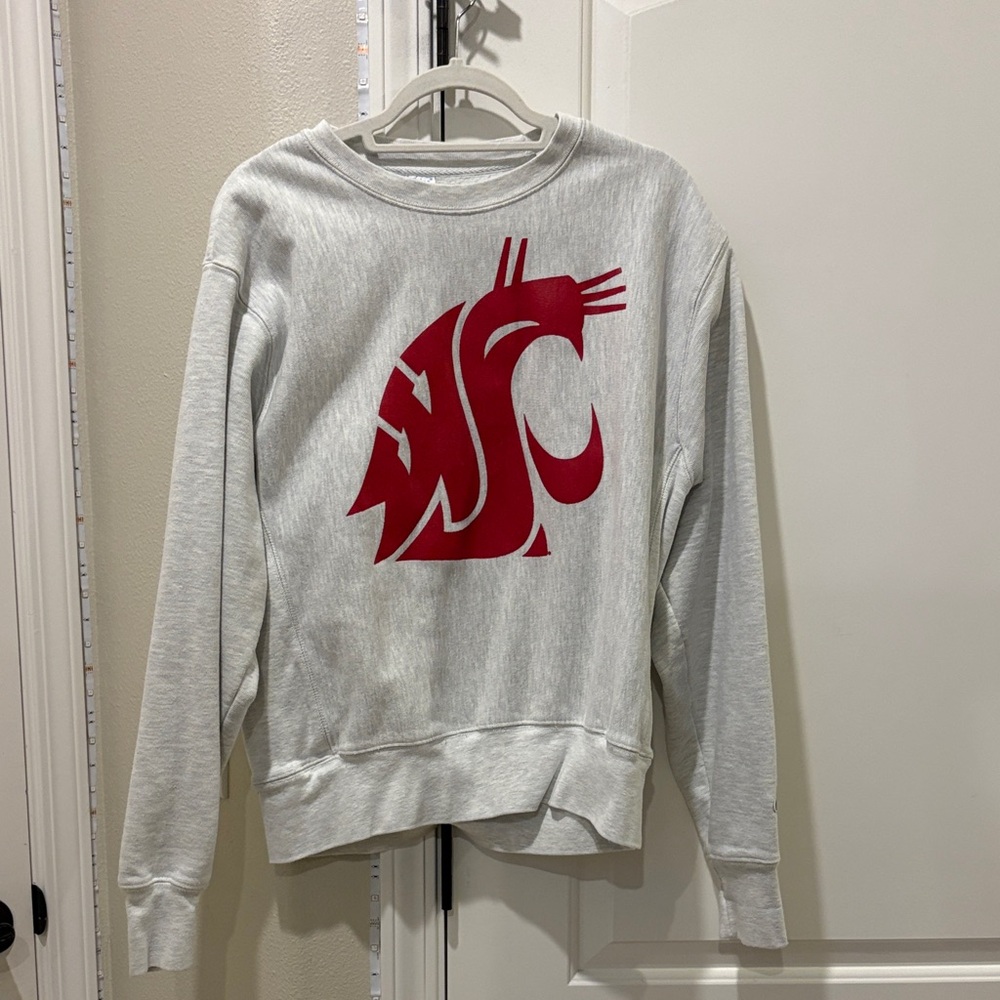 Champion Gray and Red Women's Sweater